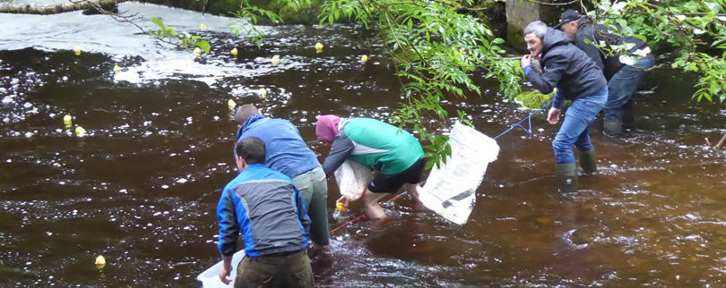 Dads waiting for winning ducks to cross the line at St Aidans fundraiser at the millsite Ballintrillick